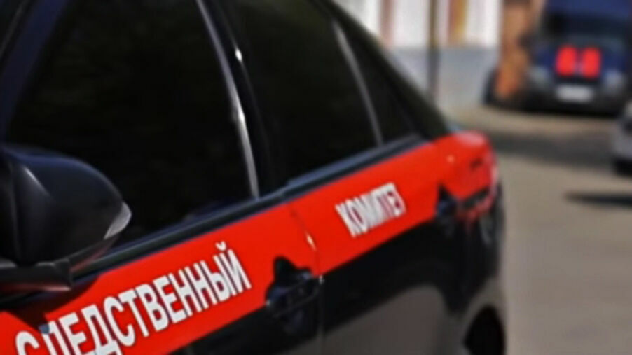 Подозреваемая в грабежах на Кубани действовала при помощи баллончика с газом