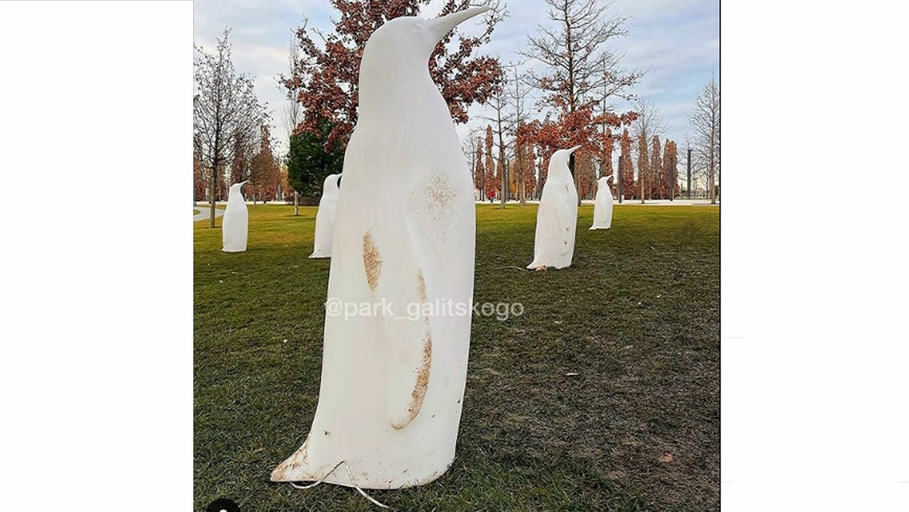 В парке Галицкого вандалы испортили арт-объекты: зачем они это делают