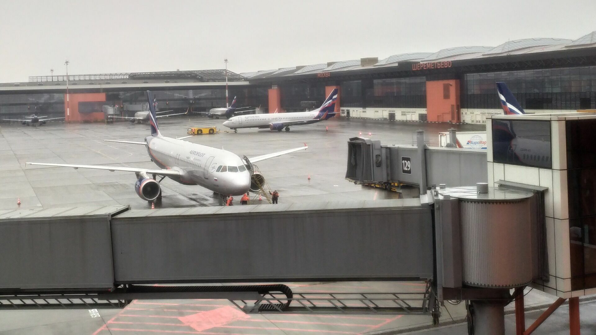 Самолет из-за проблем с шасси экстренно приземлился в Сочи после взлёта