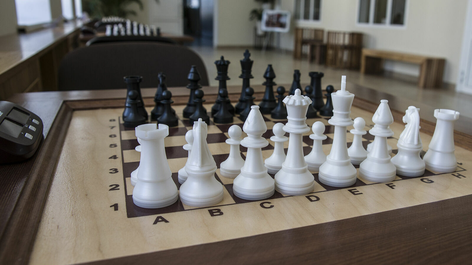 В Новороссийске хотят установить шахматный рекорд России