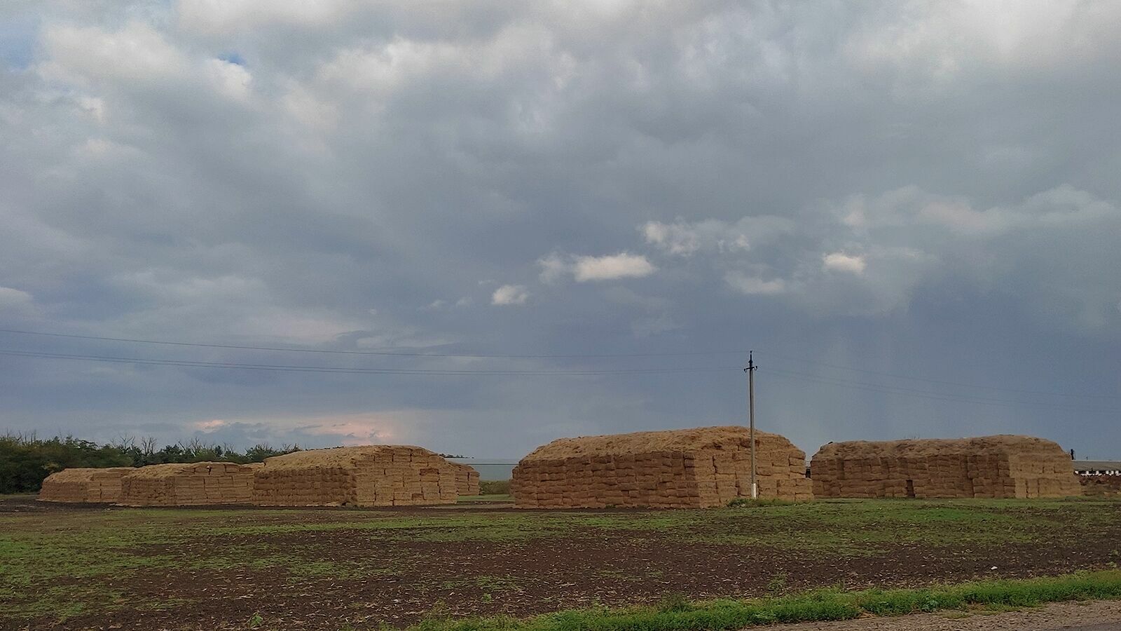 В Крыловском районе Краснодарского края сгорело пшеничное поле и трактор