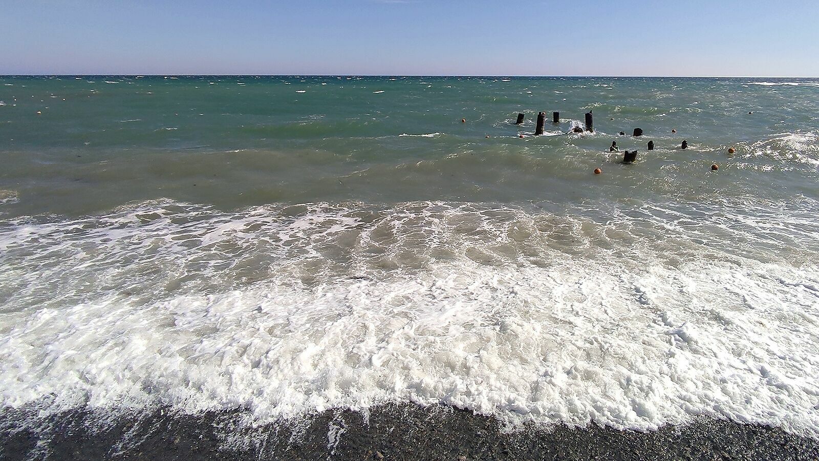 На набережной Мысхако пройдёт фестиваль на тему спасения Черного моря, его обитателей