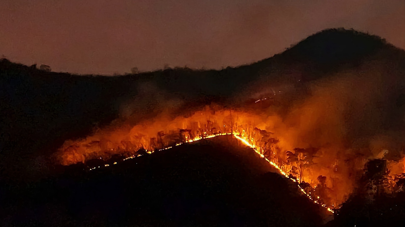 Пожар в Геленджике полностью ликвидирован, очагов огня нет