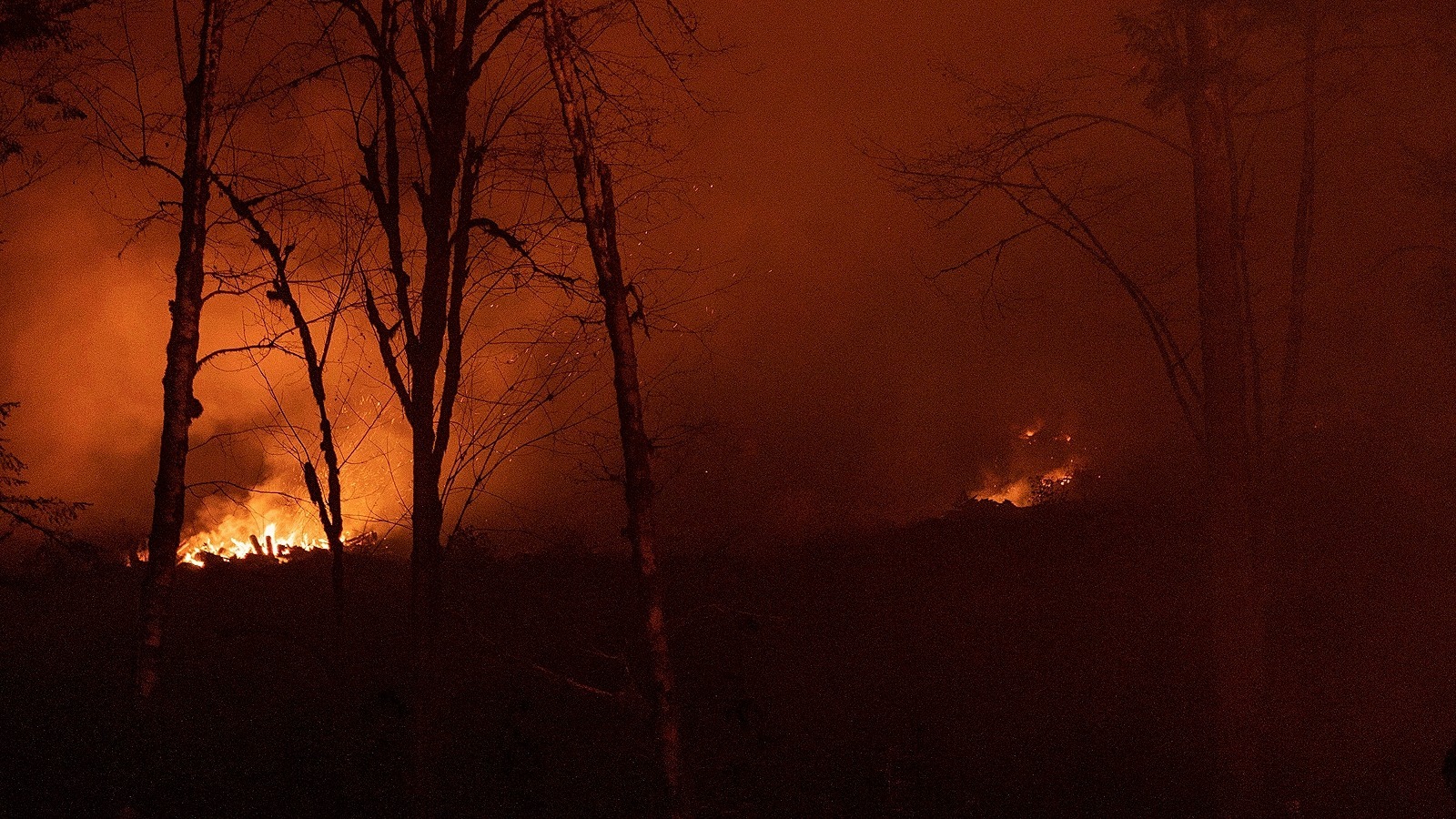 Площадь пожара в Геленджике увеличилась до 15 гектаров, сообщает Минприроды Кубани