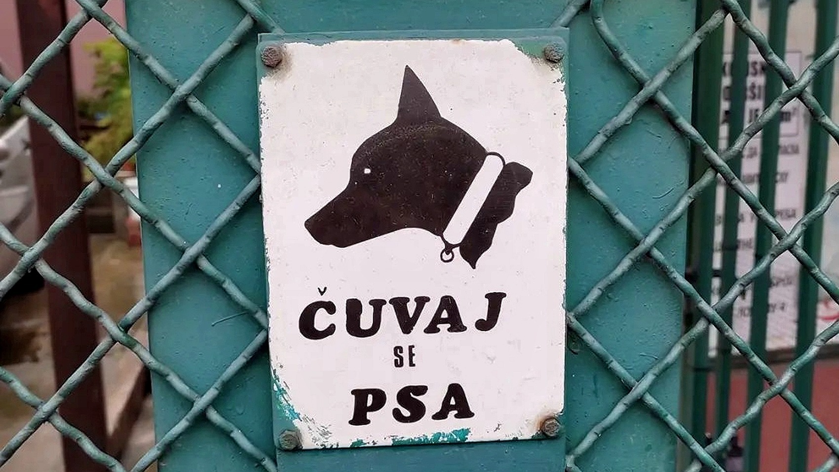 В Сочи открылся первый на Кубани муниципальный приют для бездомных животных