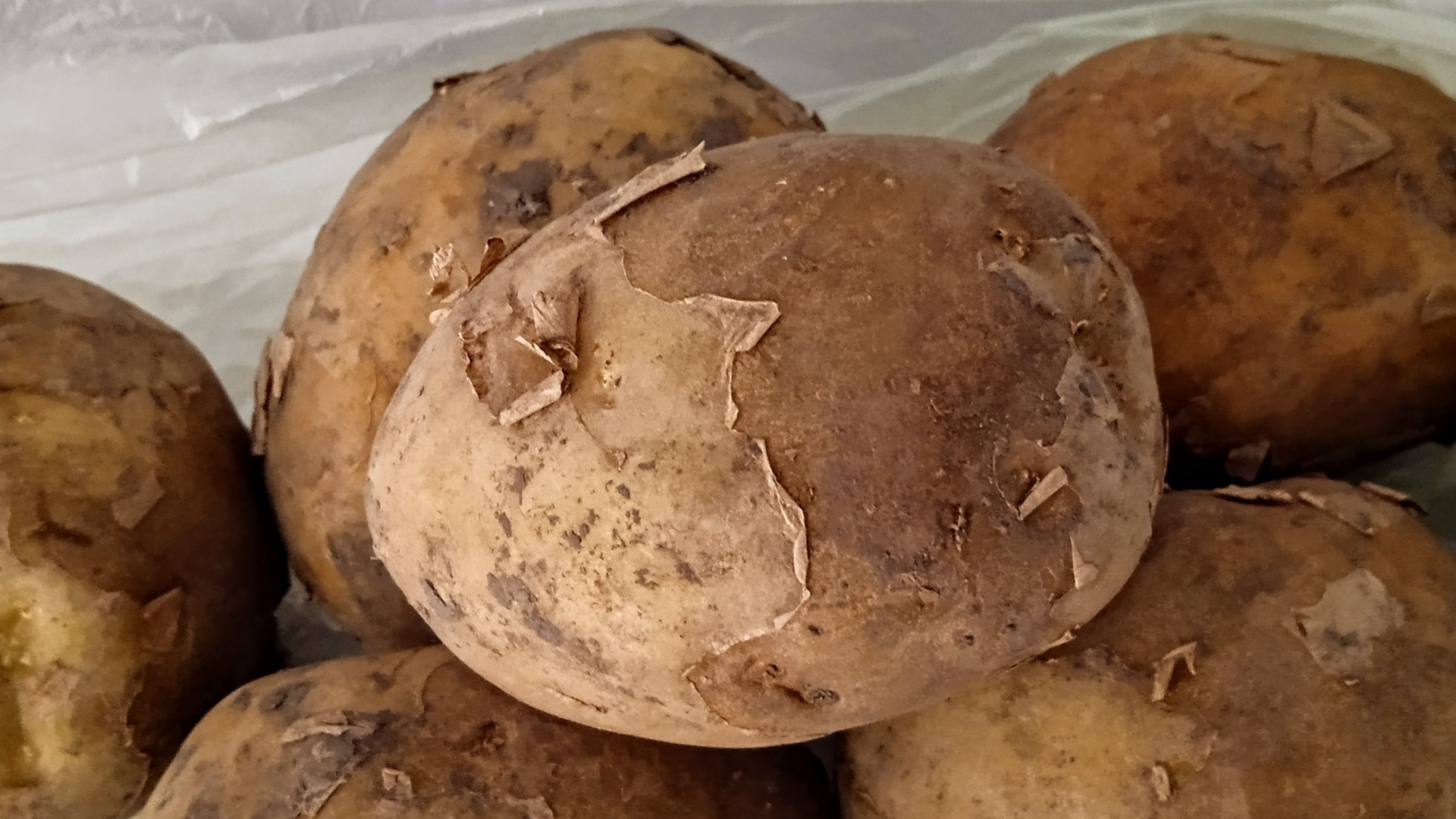 В «Атамани» пройдёт праздник, где приготовят полтонны блюд из картофеля