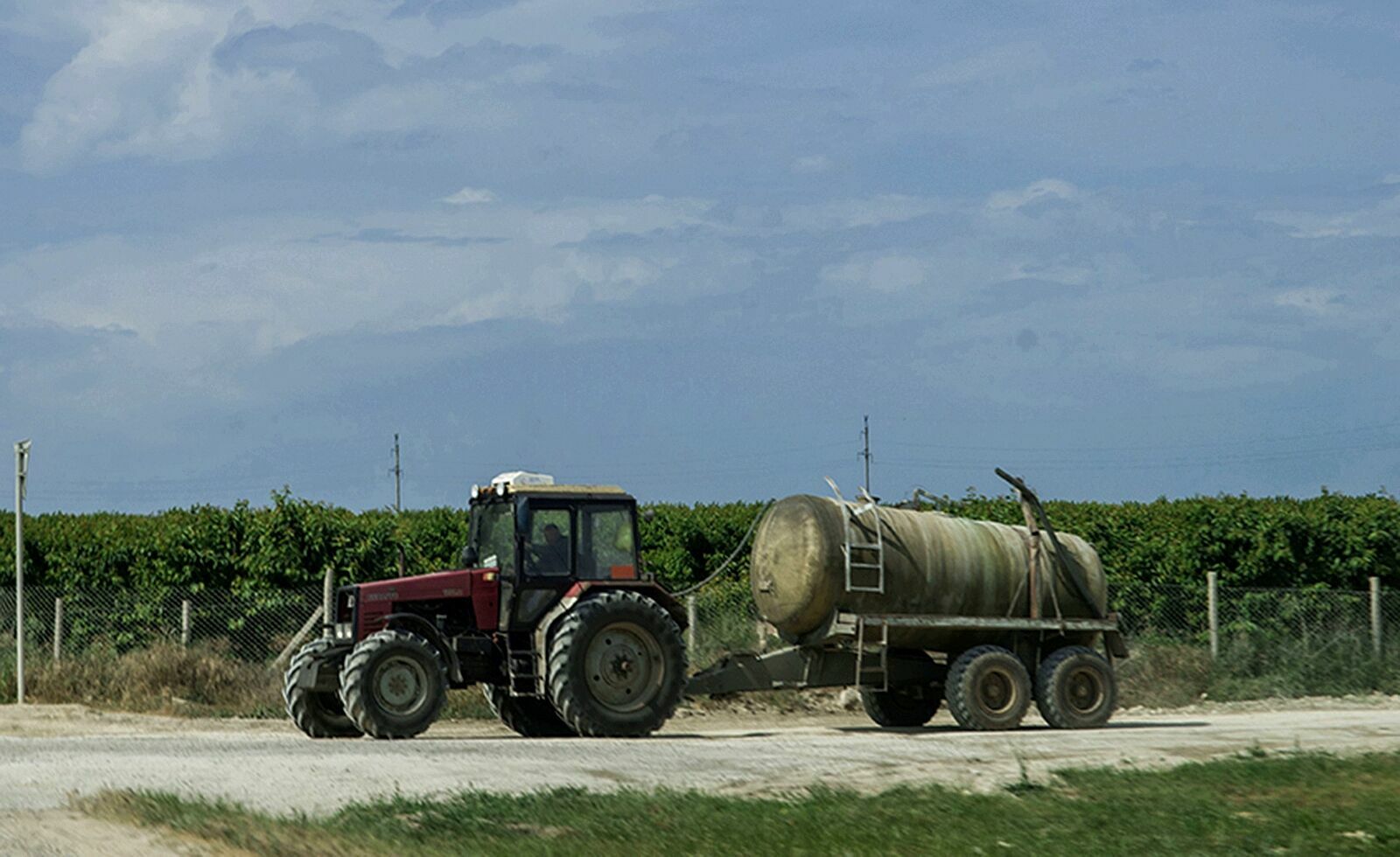 На Кубани будут сдавать в аренду земли сельхозназначения под садоводство без торгов
