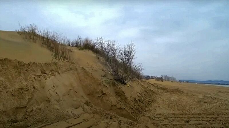 Песчаные дюны исчезают с пляжей Анапы: куда утекают пески — Последние новости России и мира сегодня