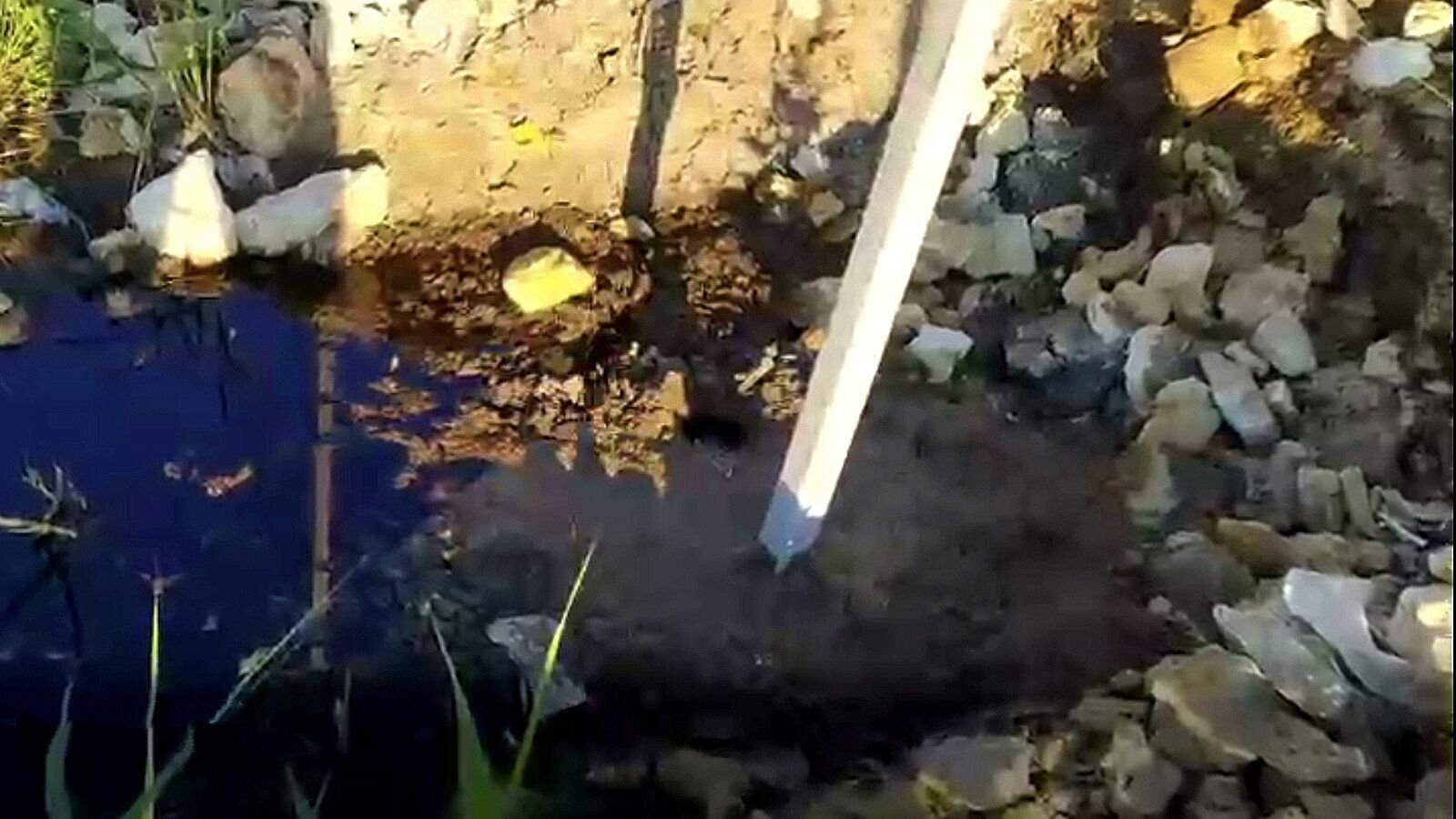 Жители станицы Полтавской указали на загрязнение воды нечистотами со свалки