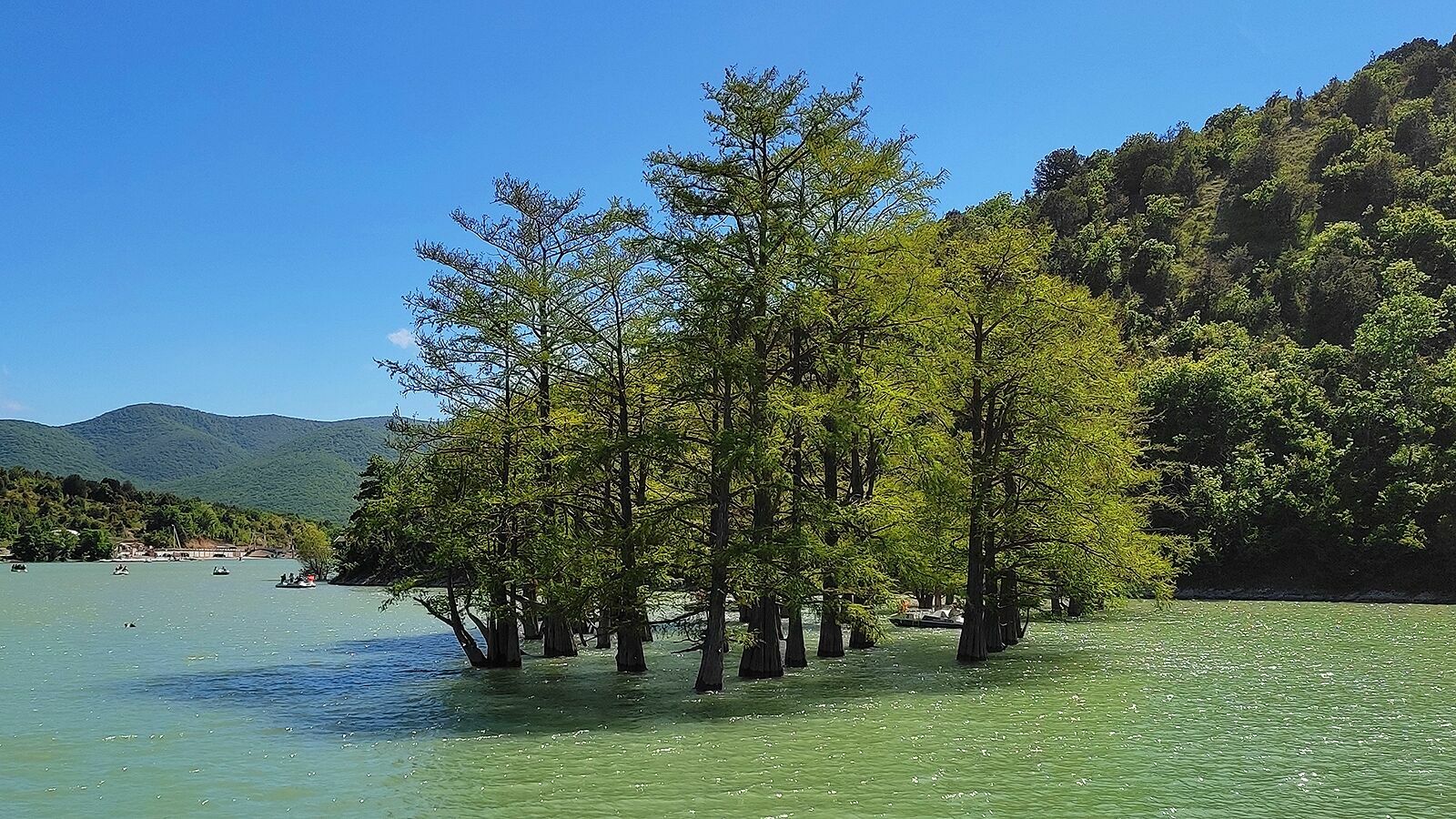 Кипарисовое озеро в Анапе посетили с начала года более 360 тысяч туристов