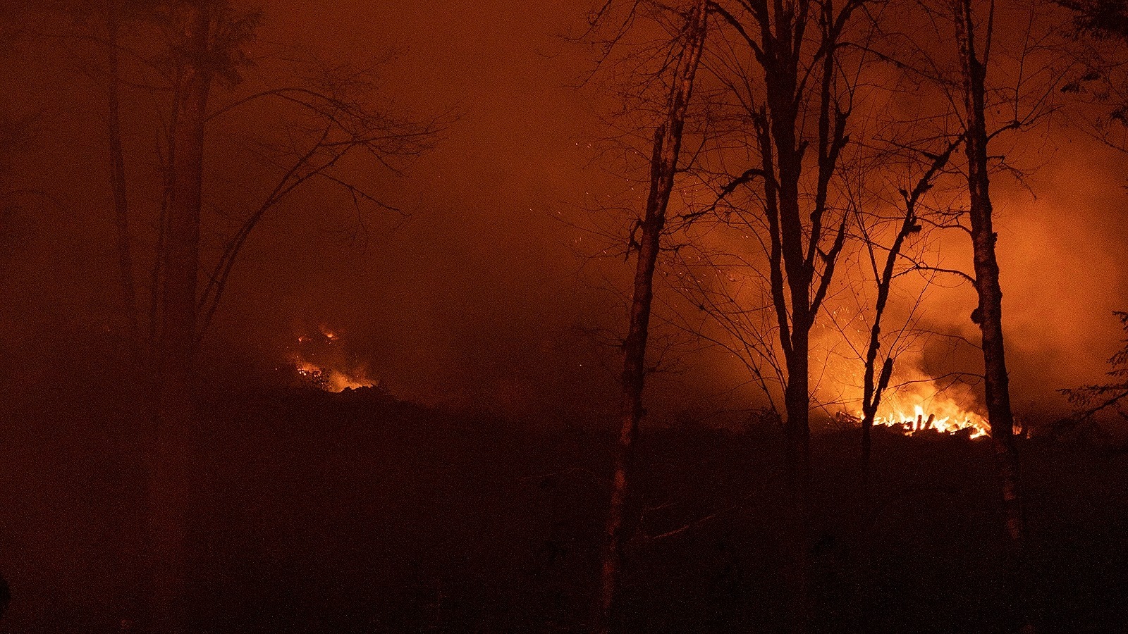 В Геленджике бушует пожар на склонах гор: площадь увеличилась до 5 гектаров